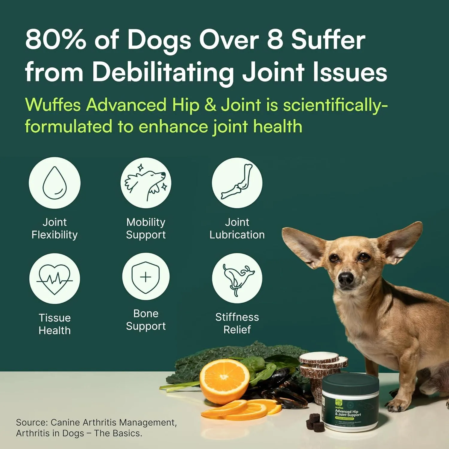 Hip & Joint Chews